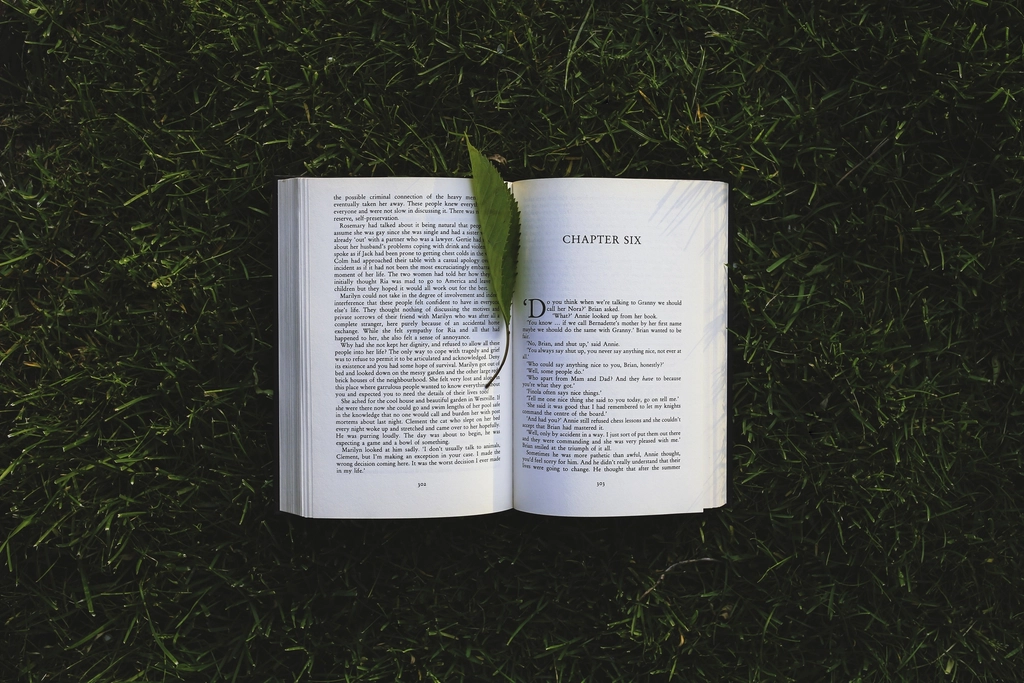 Free open book green grass